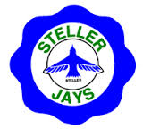 Steller Jays
